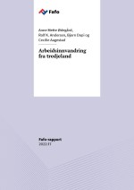 Fafo-rapport: Arbeidsinnvandring fra tredjeland